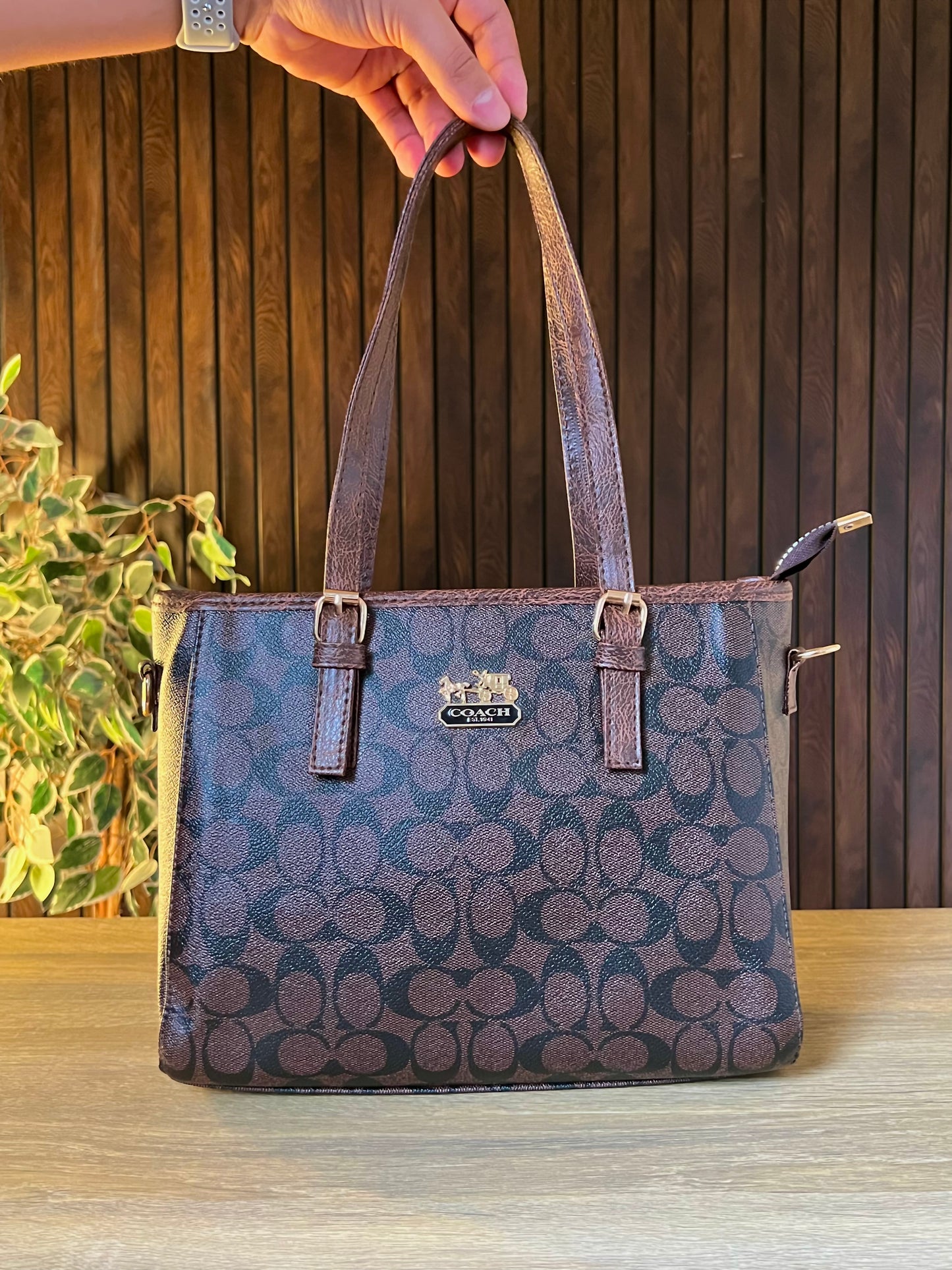 Coach Brown Beige