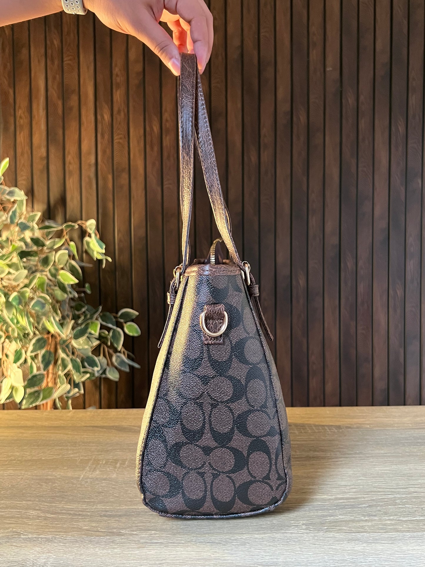 Coach Brown Beige