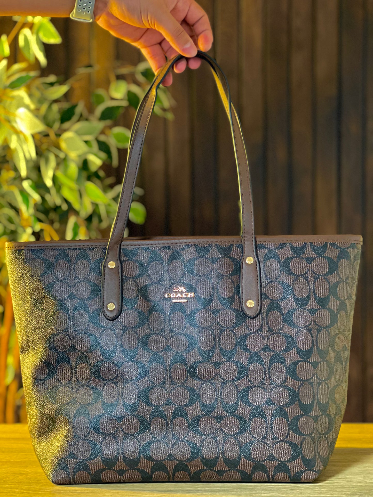 Classy Brown Tote