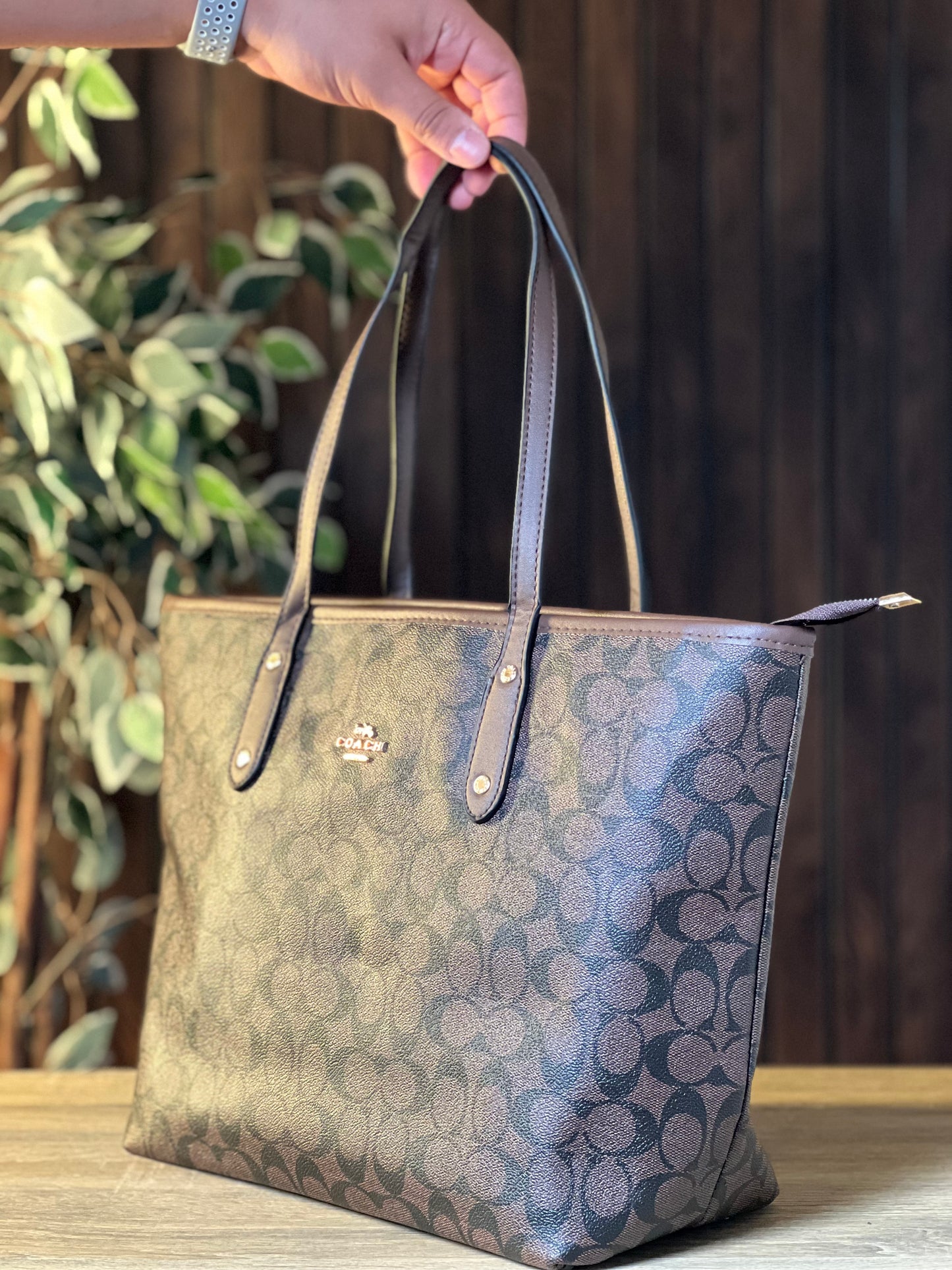 Classy Brown Tote
