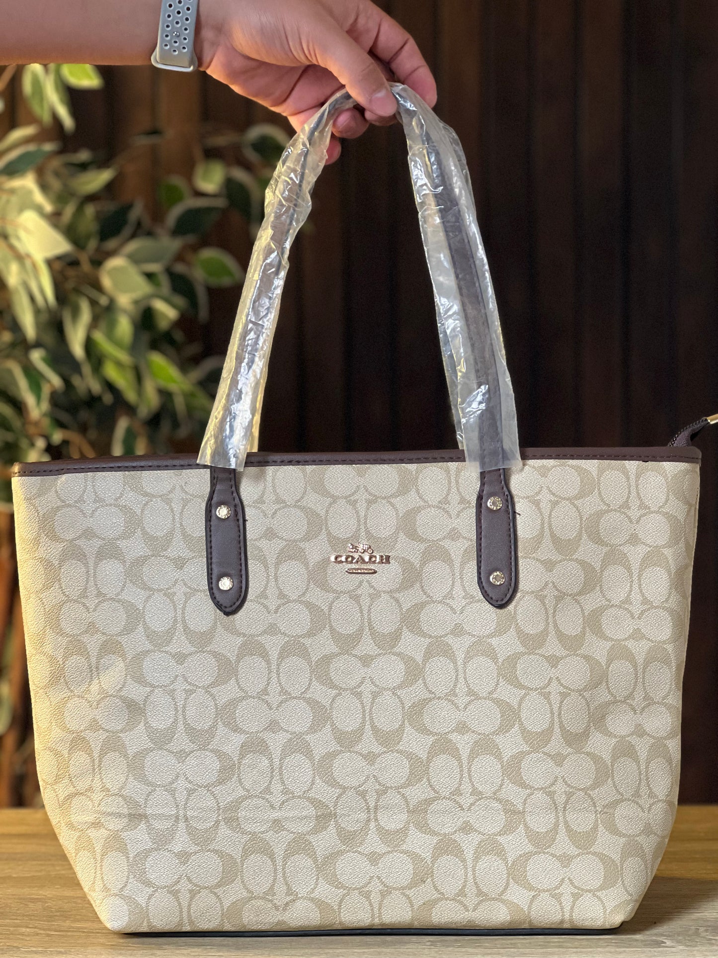 Classy Beige Tote