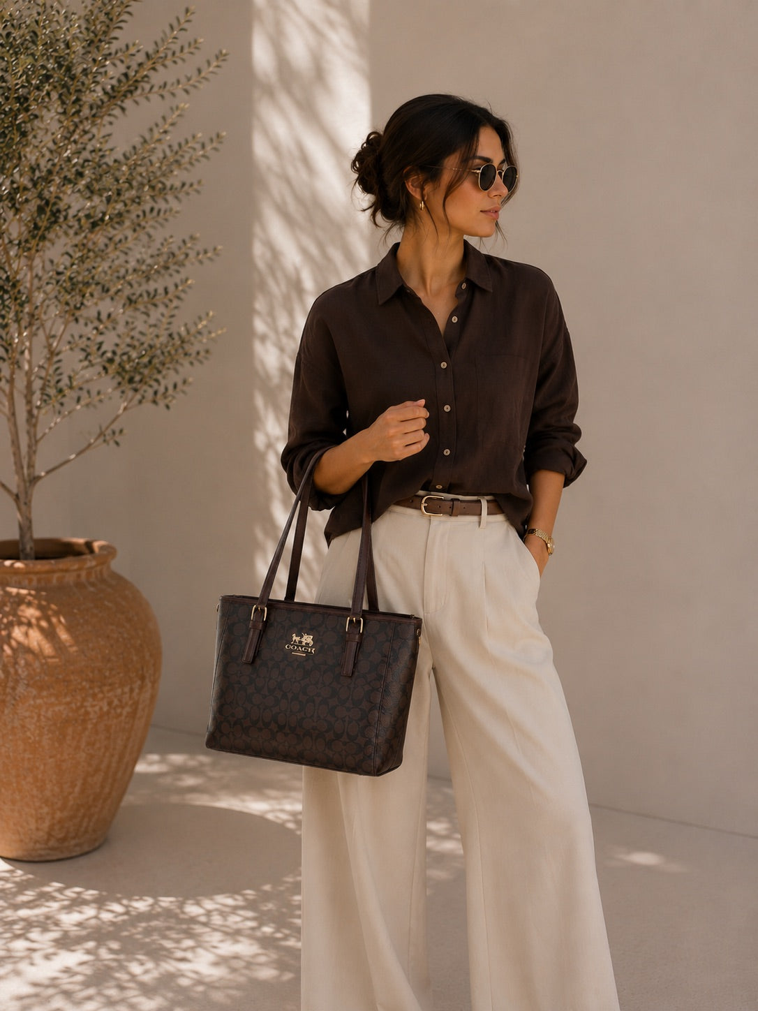 Coach Brown Beige