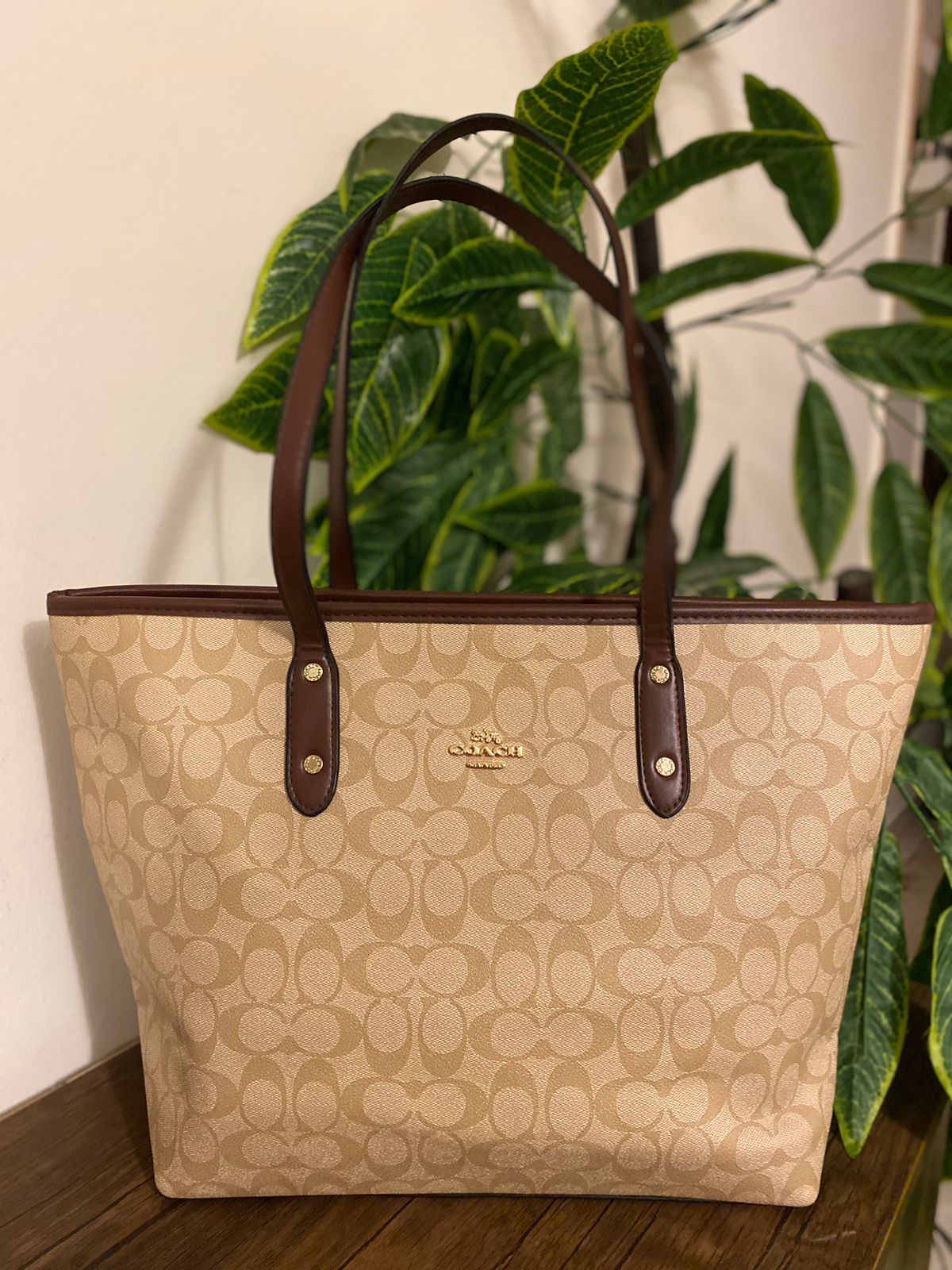 Classy Beige Tote